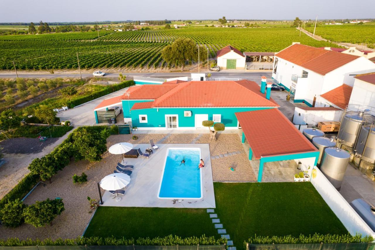 Villa Delmira Vineyard House Águas de Moura Exterior foto